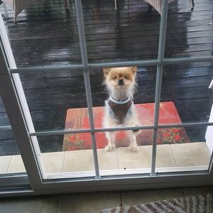 Meet your Posher, William